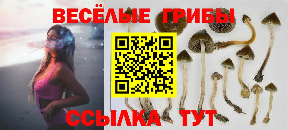 Галлюциногенные грибы GOLDEN TEACHER  сколько стоит  Вход с VPN  Ейск  Галлюциногенные грибы Cubensis 
