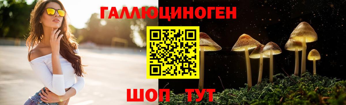 Псилоцибиновые грибы MAGIC MUSHROOMS Ейск